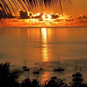https://studio-malacca-o-coeur-de-deshaies.comcaribbean.com